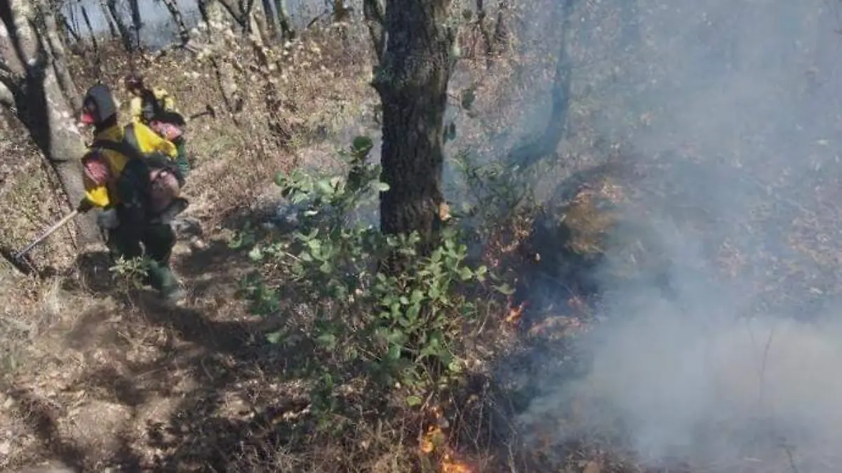 Incendio forestal en Tuxcueca